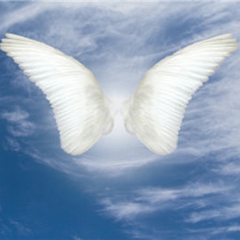  Angel Wings in Sky