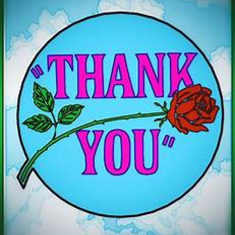 Thank you with red rose drawing
